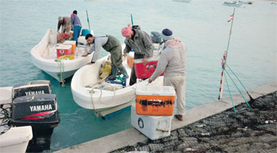 ������ ������ ��� �������� ����� ����� 