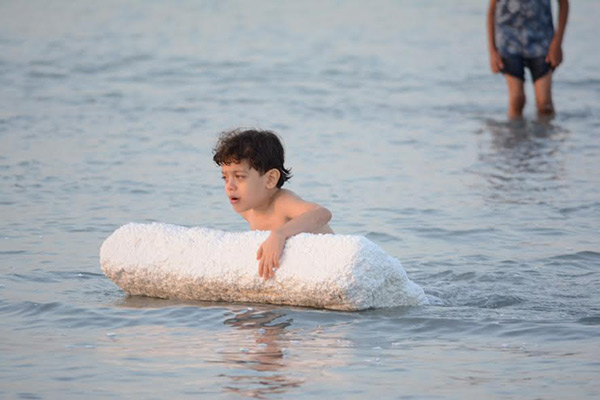 ������ ������� - ��������