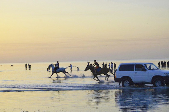 �������� ������� - ���� ������ �������