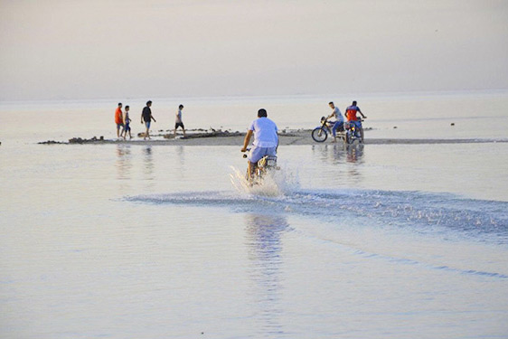 �������� ������� - ���� ������ �������