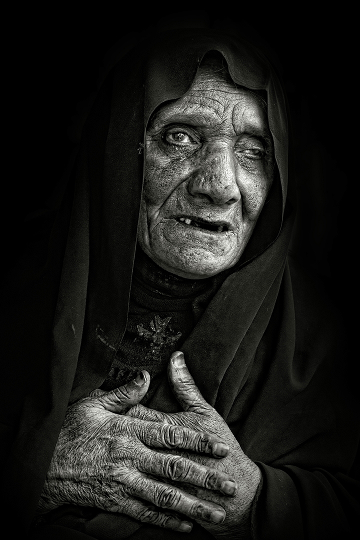 ������ ���������� ��������