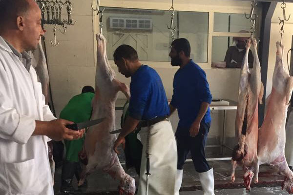 ���� - �����