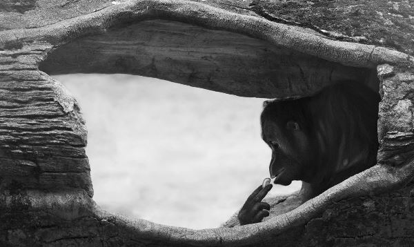 ��� ������ ����� ����� ���������