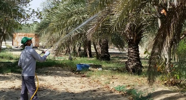 99 % �� ���� �������� ���� �� ������� ��������