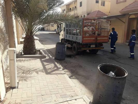 ����� �����