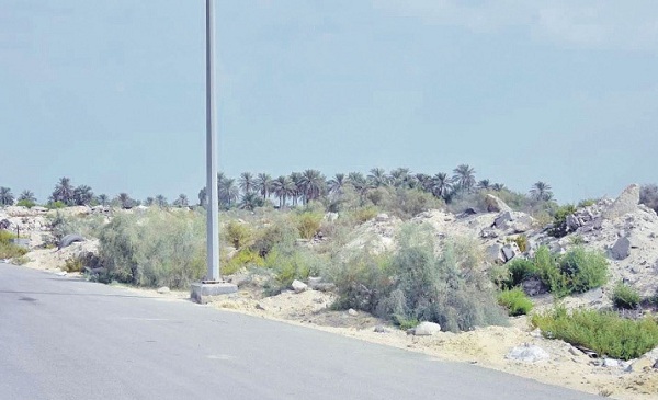 ������ ������ ���� ������ �����