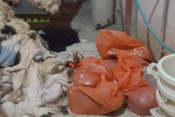 ���� �����