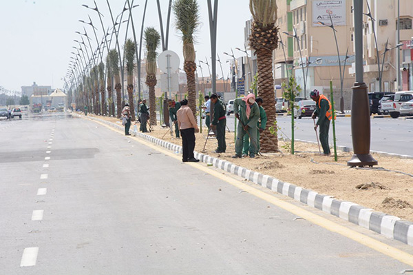 ������ ���� ������