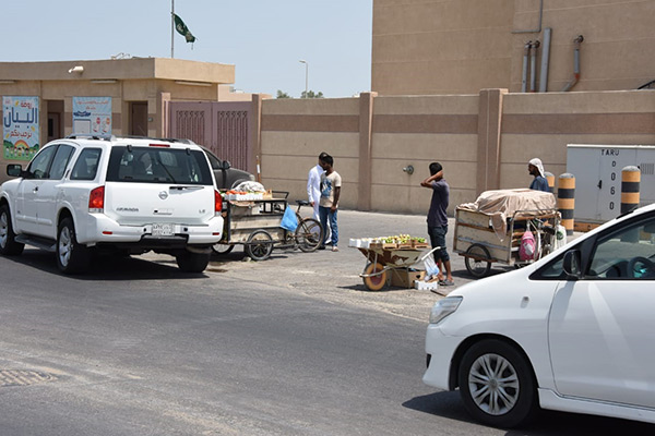 ����� ������ ��������