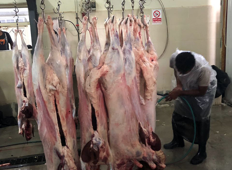 ���� ������