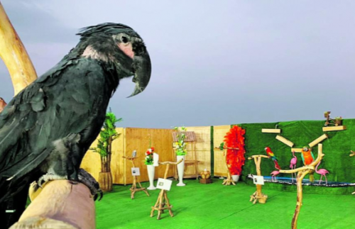 ���� �� ������ ������