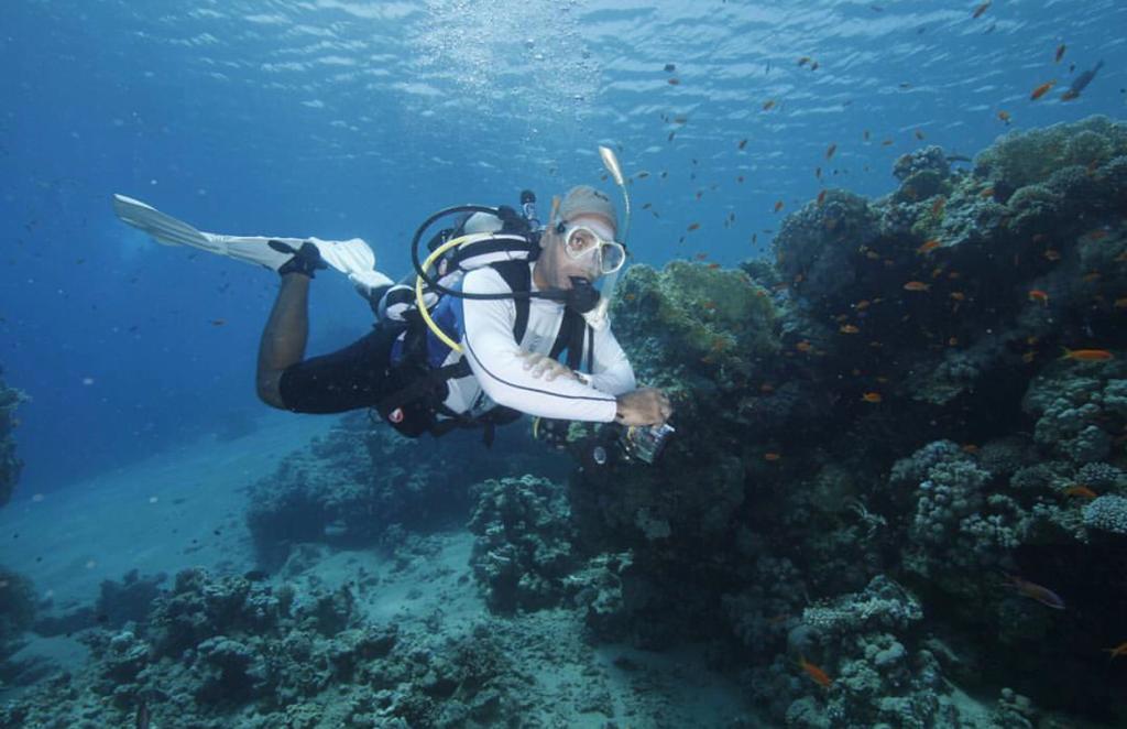 ������ ������� ���� �����