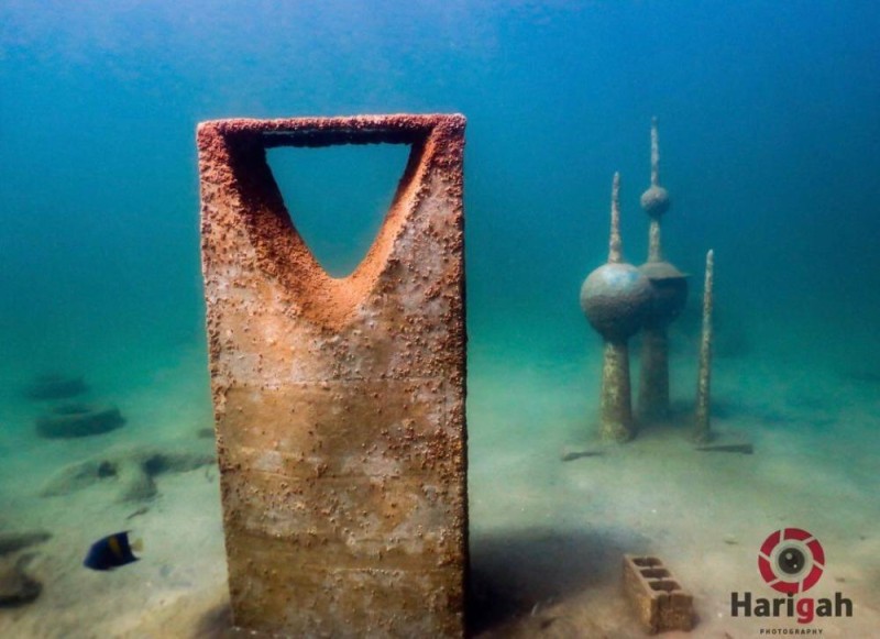 ���� ������� ����� ���� ��� ���� ����