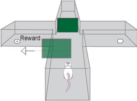 ����� �� ����� ������ʡ ���� ����� �� ��� ���� ������ ������