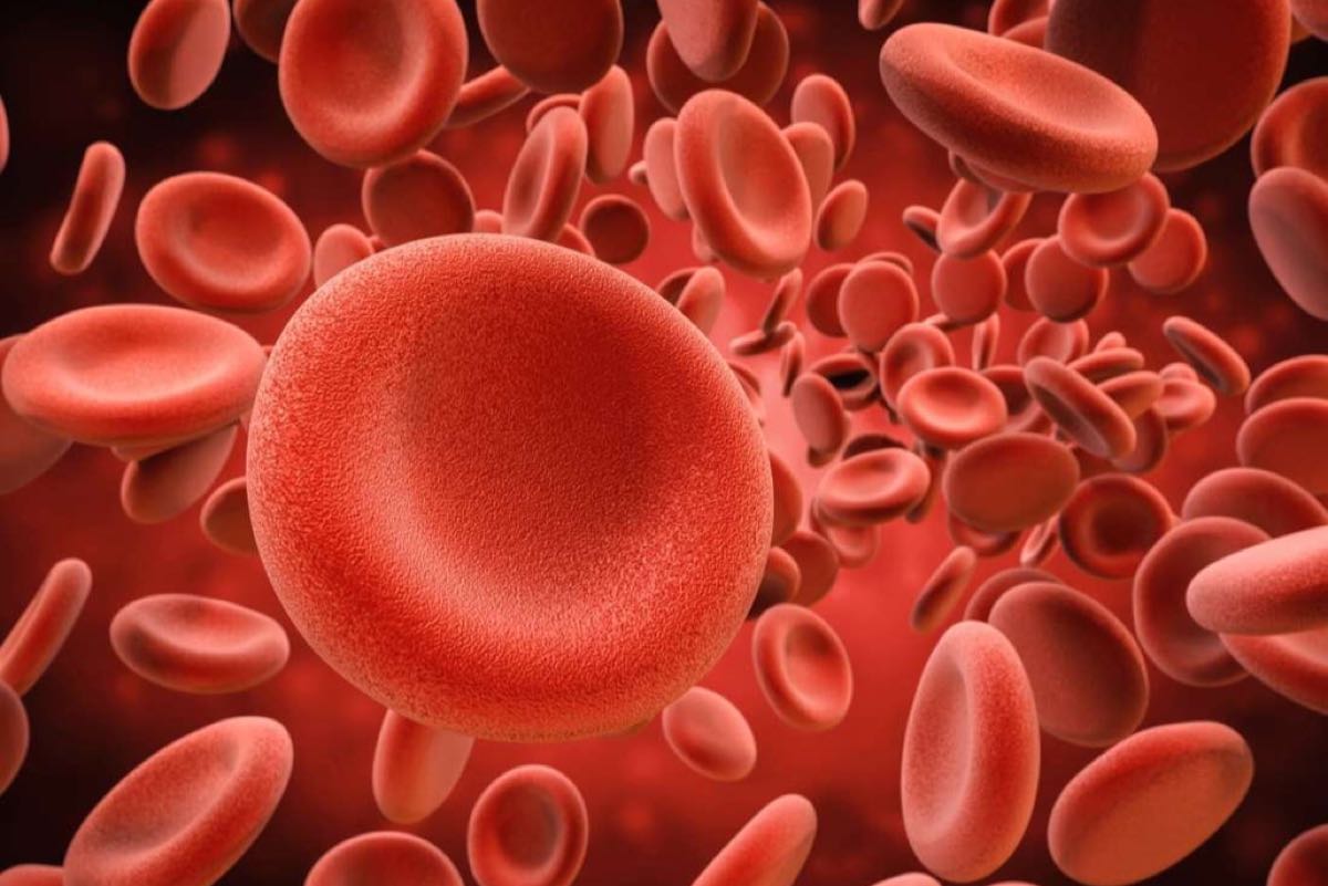 �������� ��������